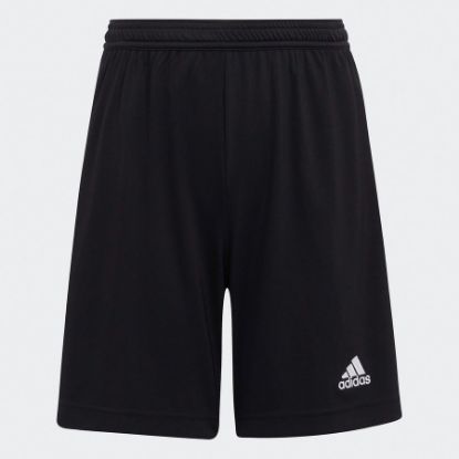 Picture of Shorts - Adidas Perfomance